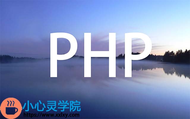 用PHP防止网站被镜像反代的方法-小心灵学院