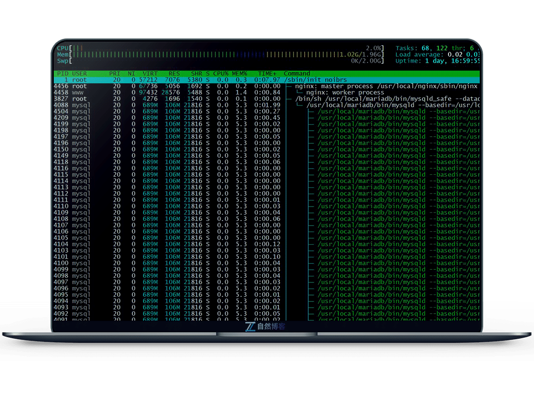 mysql、php、nginx进程监控脚本 提高网站可用性-小心灵学院